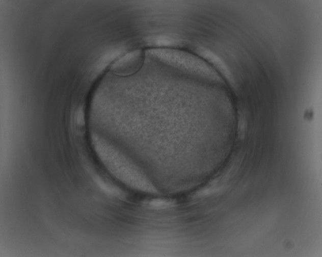 X0000094960251200712131651