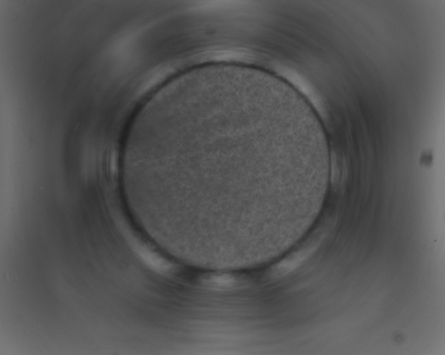 X0000094960253200712131651