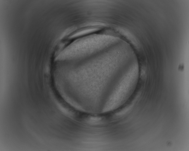 X0000094960256200712131651