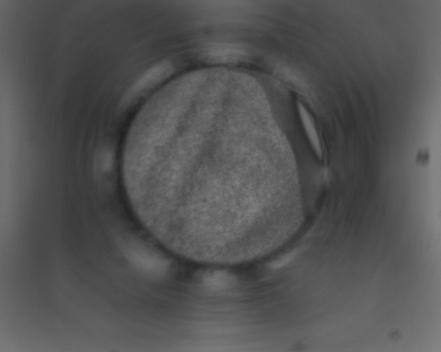 X0000094960258200712131651