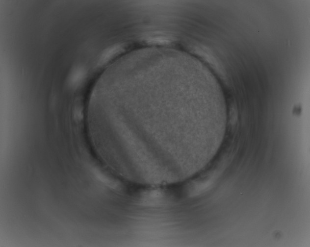 X0000094960259200712131651