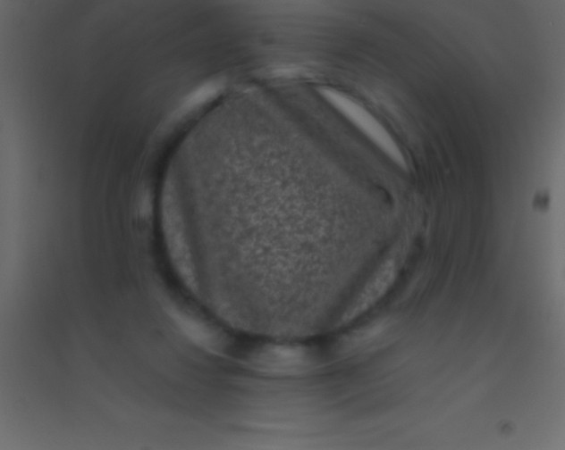 X0000094960260200712131651