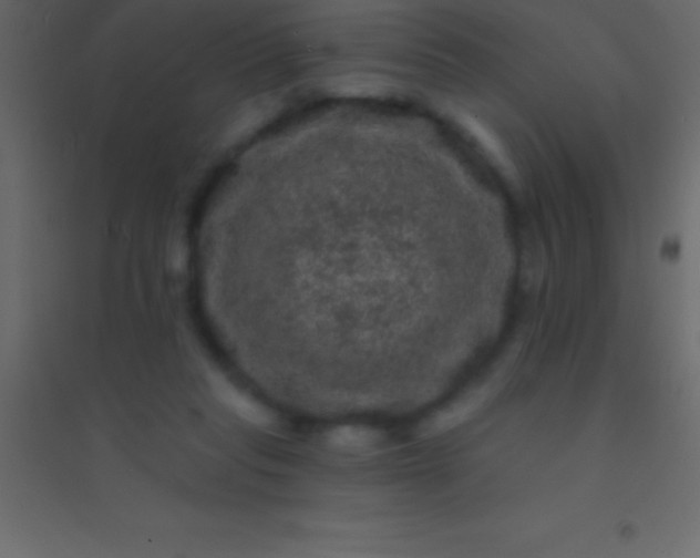 X0000094960261200712131651