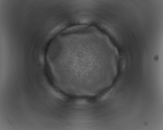 X0000094960262200712131651