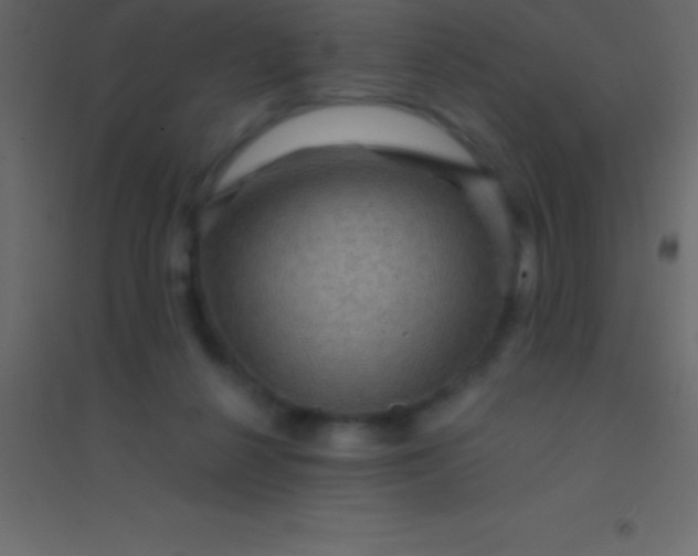 X0000094960264200712131651