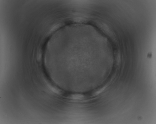 X0000094960266200712131651