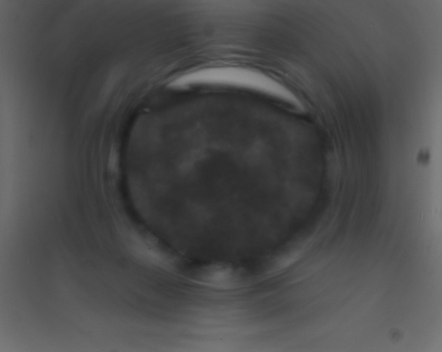 X0000094960267200712131651