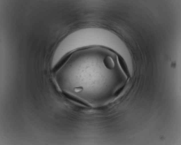 X0000094960268200712131652