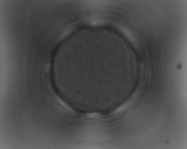 X0000094960269200712131652