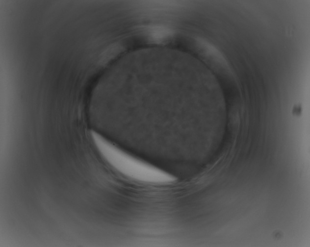 X0000094960270200712131652