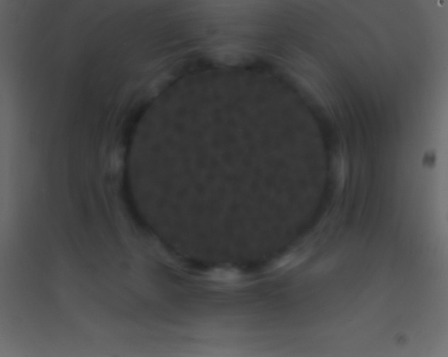 X0000094960271200712131652