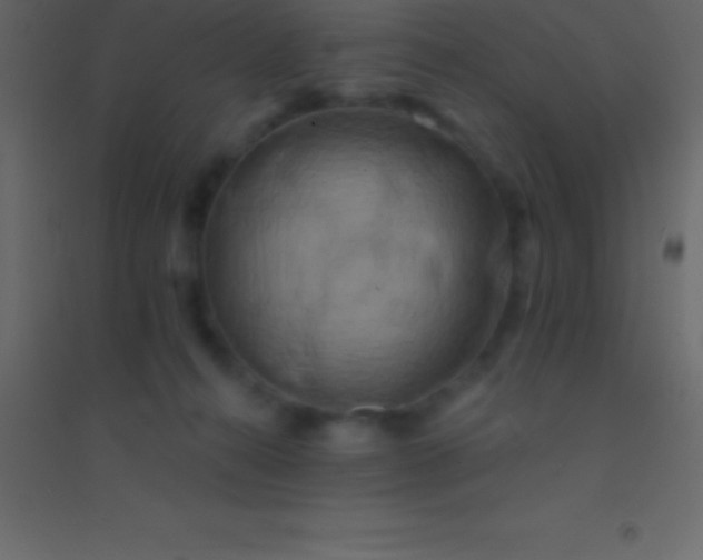 X0000094960272200712131652