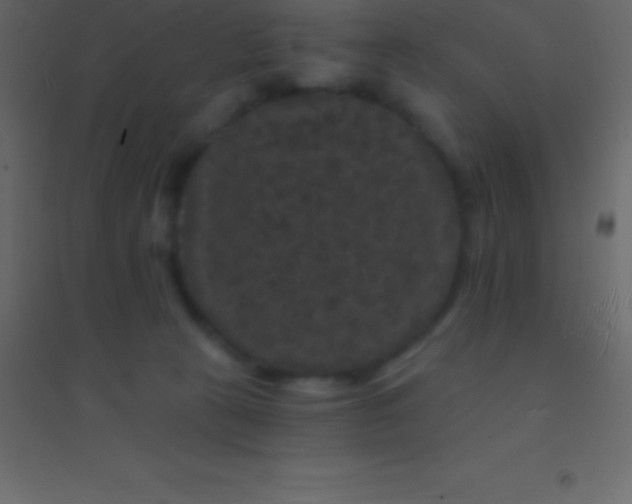 X0000094960273200712131652