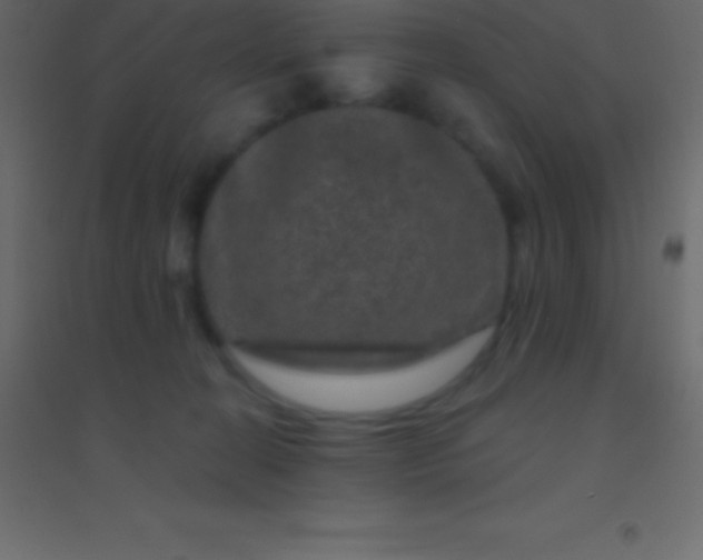 X0000094960274200712131652