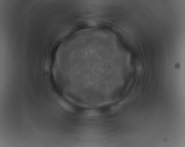 X0000094960275200712131652