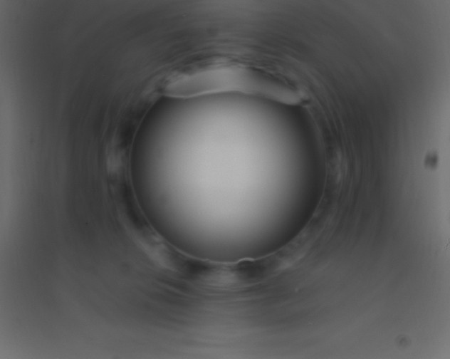 X0000094960276200712131652