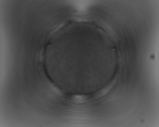 X0000094960277200712131652