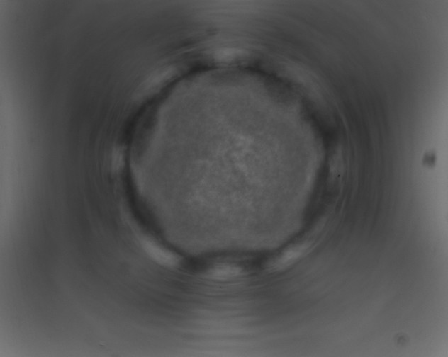 X0000094960278200712131652