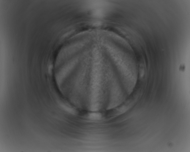 X0000094960279200712131652