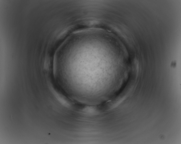 X0000094960280200712131652