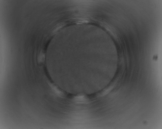 X0000094960281200712131652