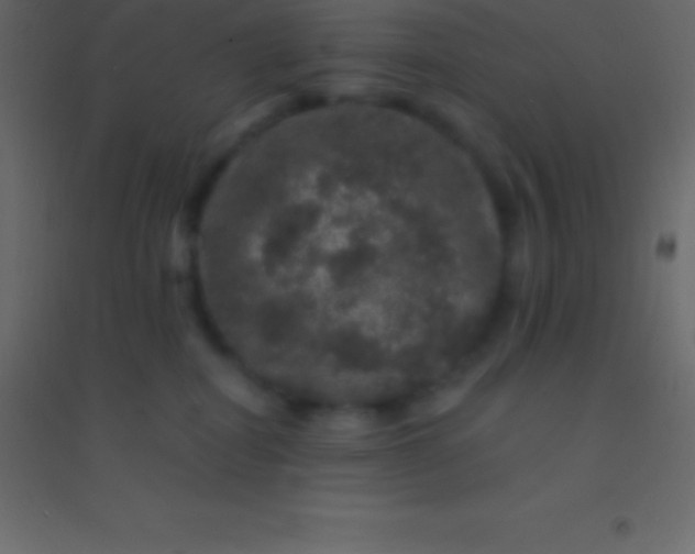 X0000094960282200712131652