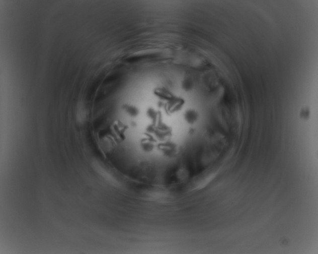 X0000094960284200712131652