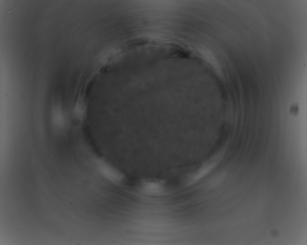 X0000094960285200712131652