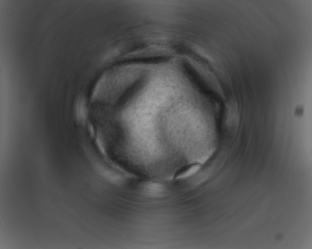 X0000094960287200712131652