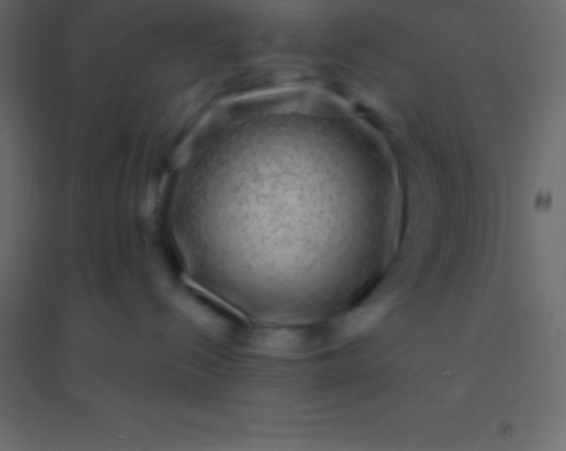 X0000094960288200712131652