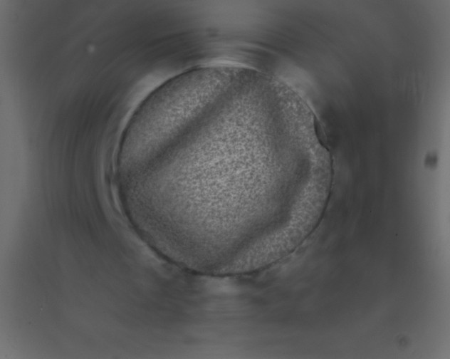 X0000094960289200712131651