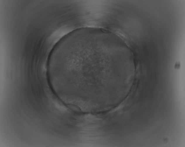 X0000094960290200712131651