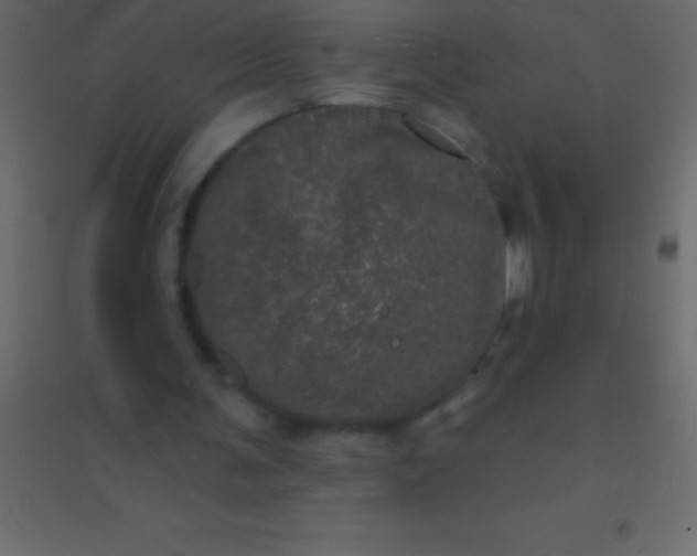 X0000094960291200712131651