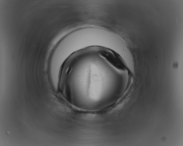 X0000094960292200712131651