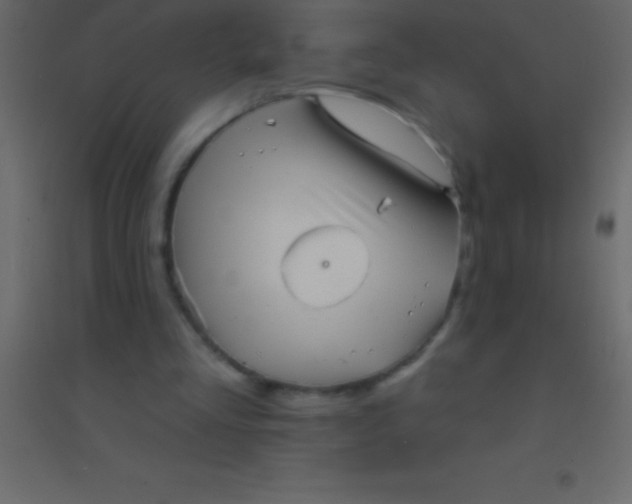 X0000094960293200712131651