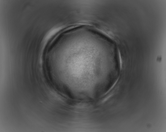 X0000094960294200712131651