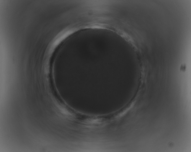 X0000094960295200712131651