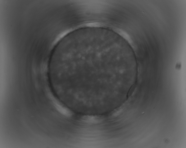 X0000094960297200712131651