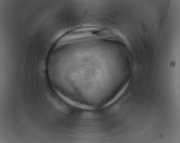 X0000094960298200712131651