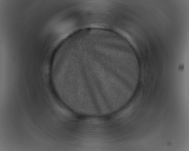 X0000094960299200712131651