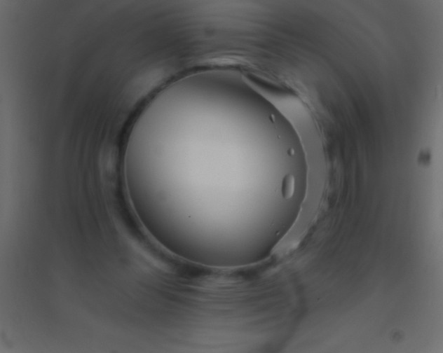 X0000094960300200712131651