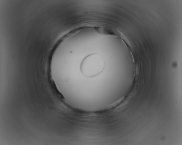 X0000094960301200712131651