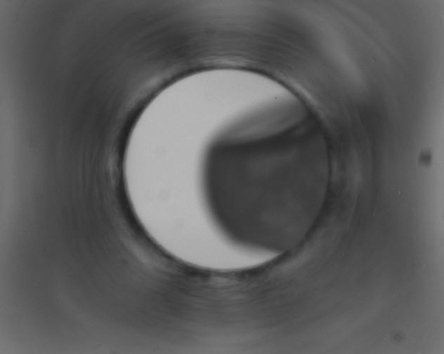 X0000094960302200712131651