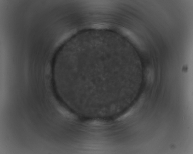 X0000094960303200712131651