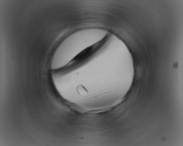 X0000094960304200712131651