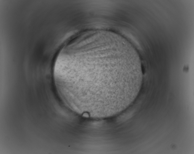 X0000094960306200712131651