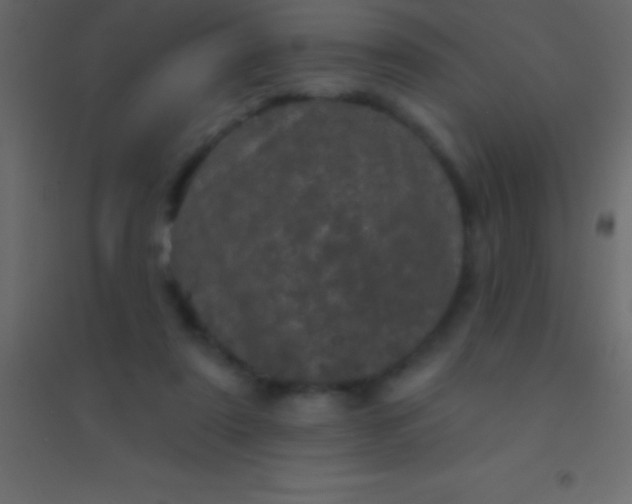 X0000094960307200712131651