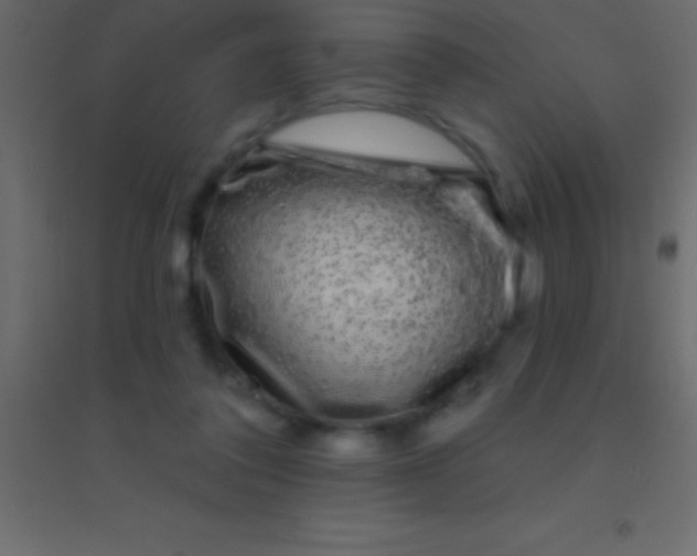 X0000094960308200712131651