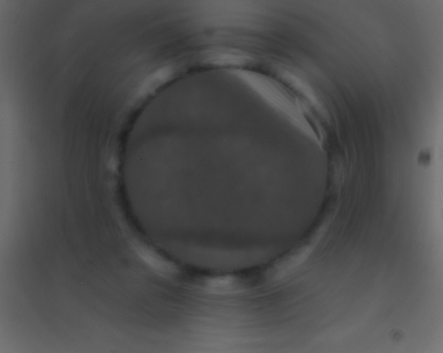 X0000094960309200712131651