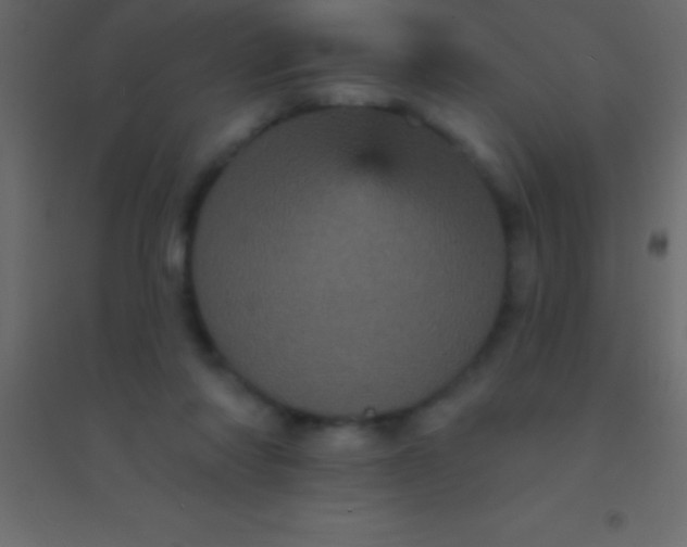 X0000094960310200712131651